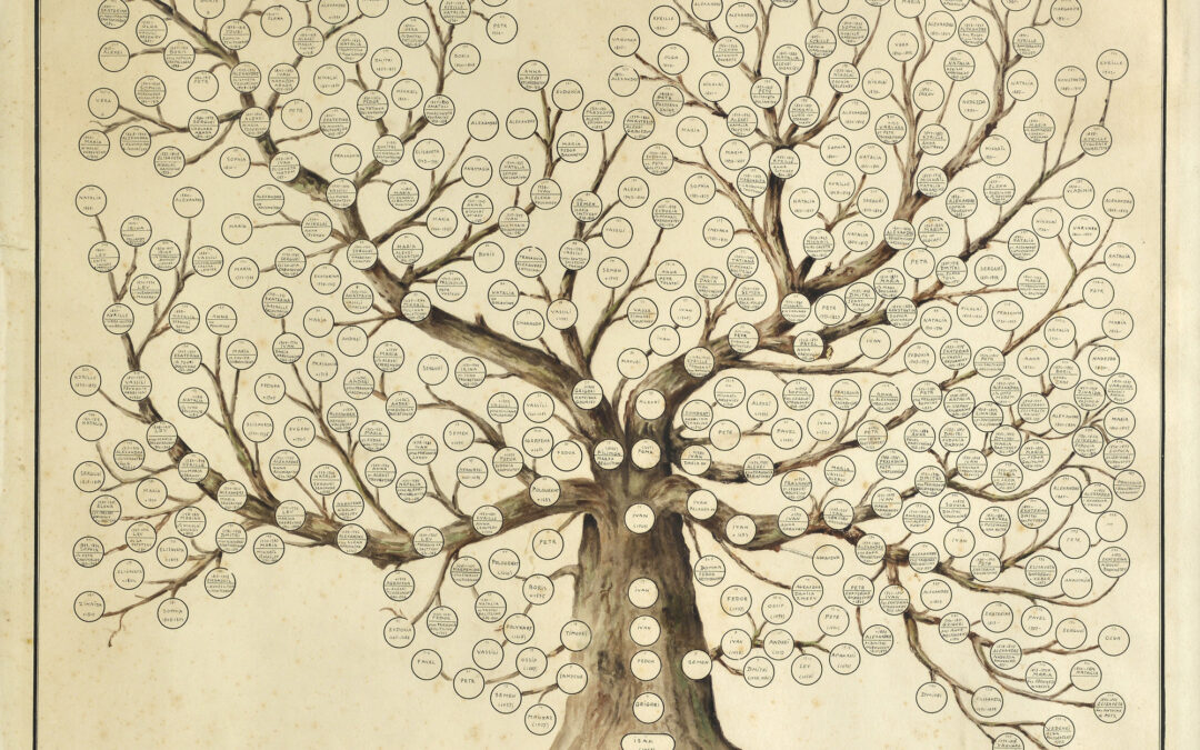 Secrets de familles : jusqu’où aller dans la recherche généalogique ?