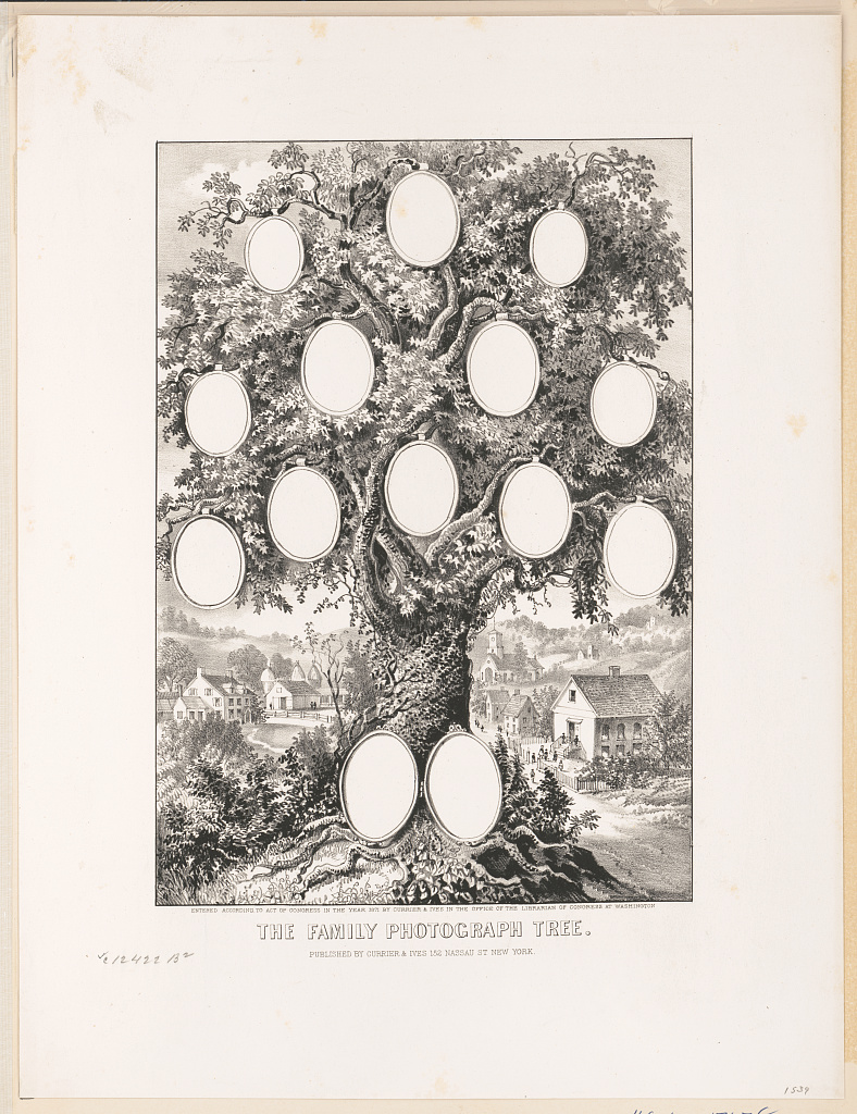 secret de famille et arbre généalogique